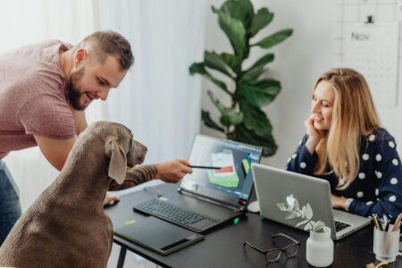 Why Corporate Pet Insurance Benefits Are Replacing Traditional Health Perks Happy dog in modern office environment representing pet-friendly workplace benefits