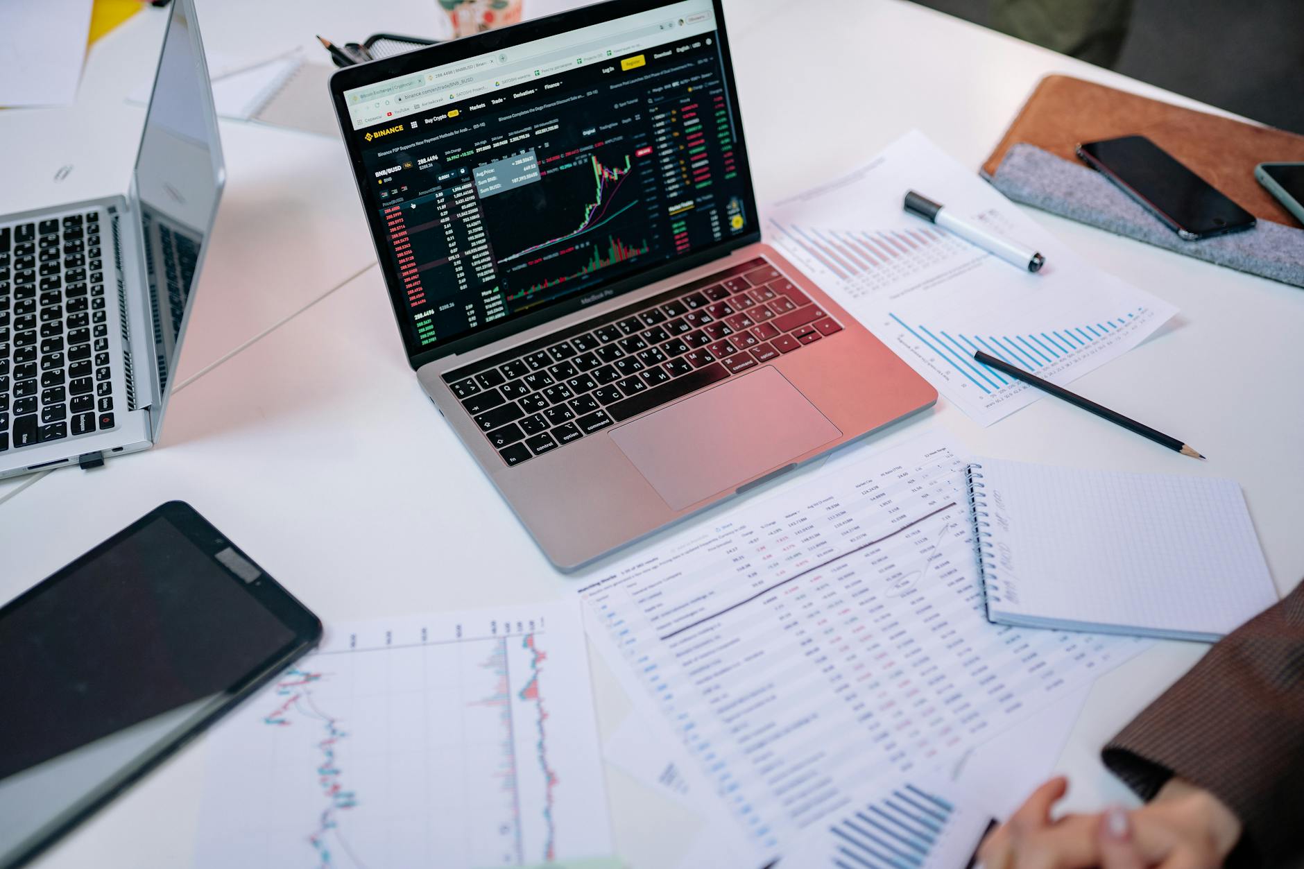 Financial analyst reviewing profit charts and dividend data on laptop computer