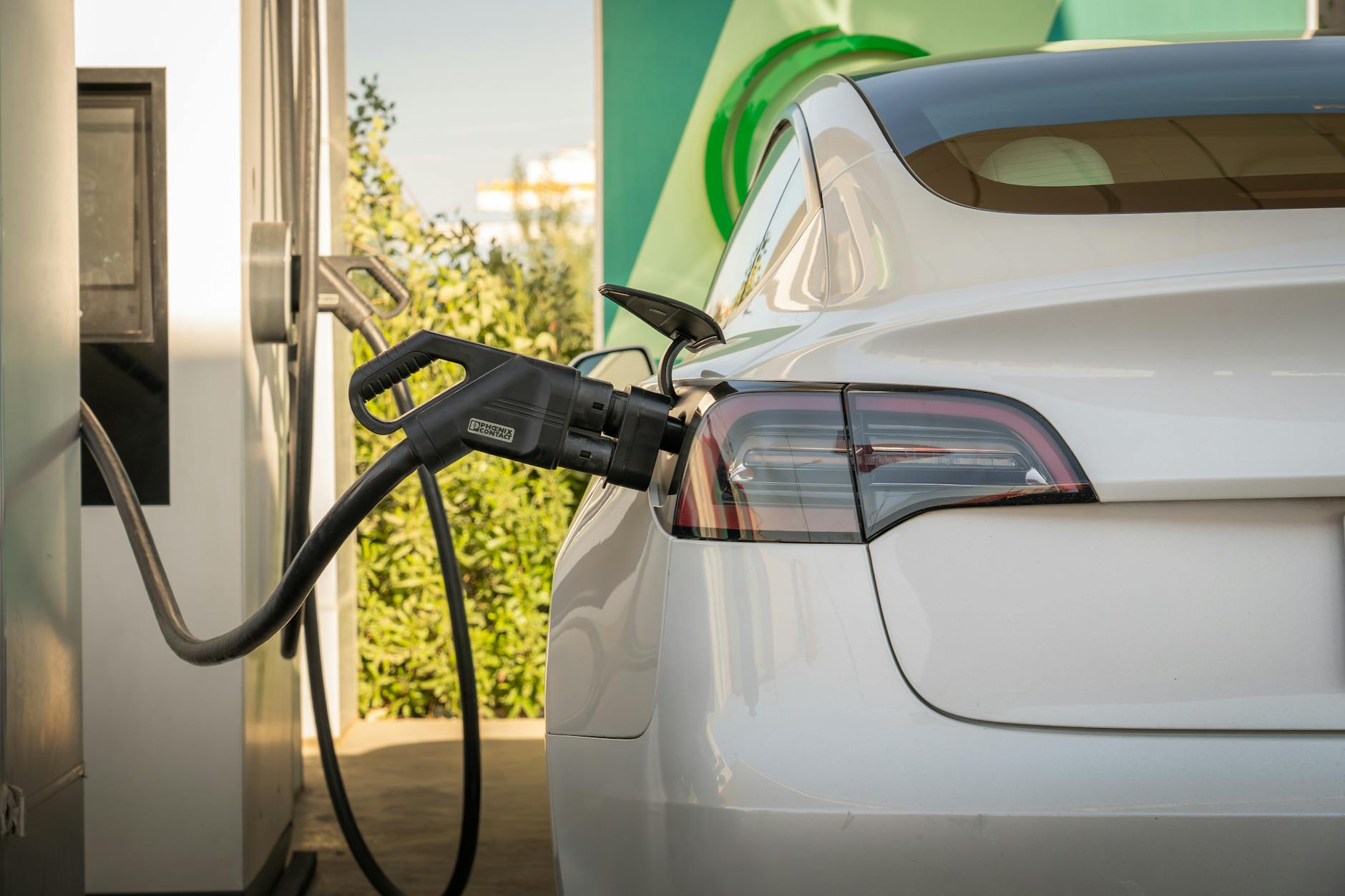 Row of electric vehicles charging at a public charging station